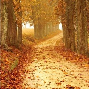 Meet your Posher, Carley